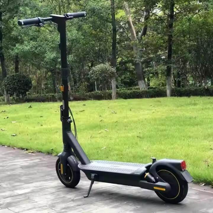 Electric Kick Scooter