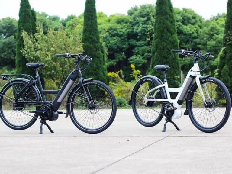 Great OEM Electric Bicycle