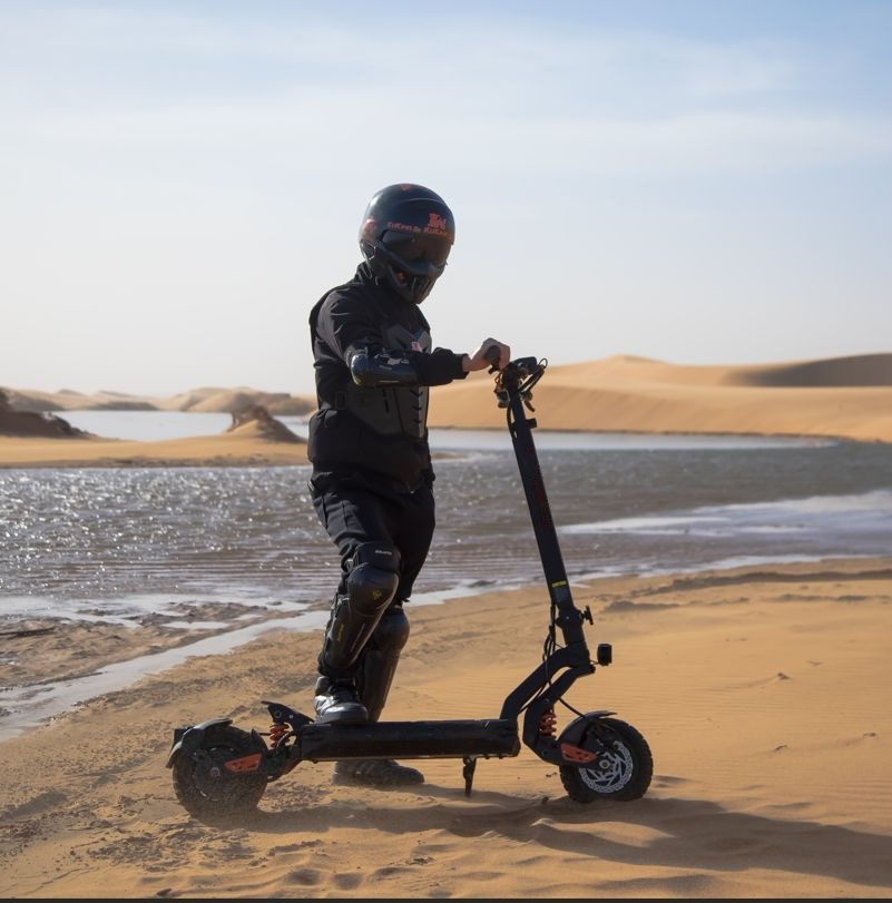 Electric Kick Scooter