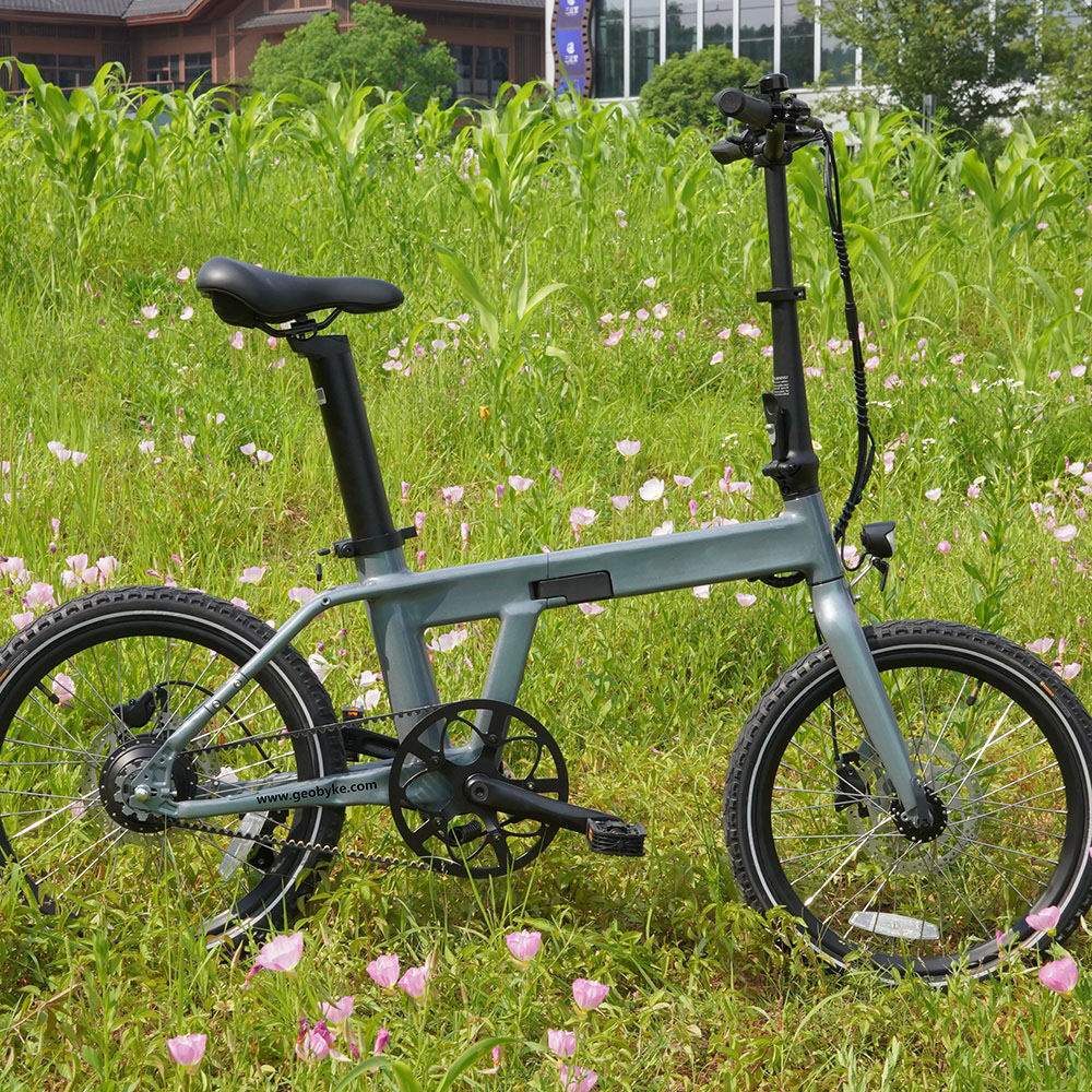 Electric Bike