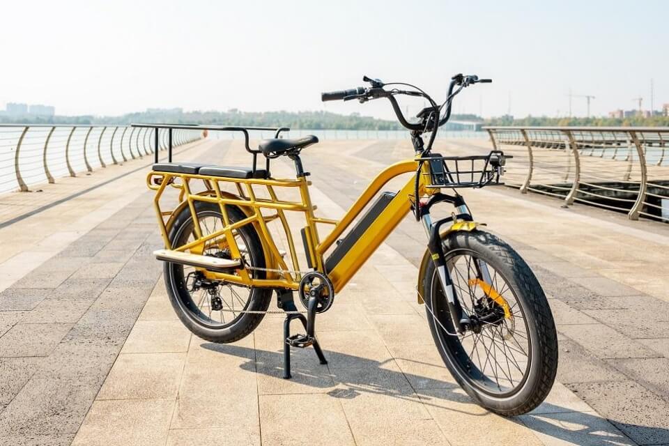 Electric Bike