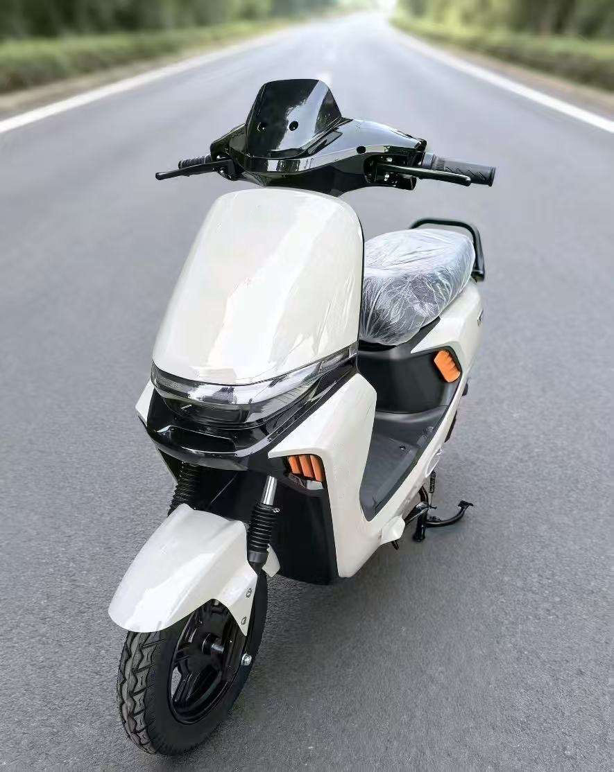 Electric Motorcycle
