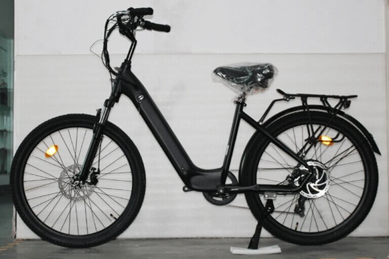 Electric Bike
