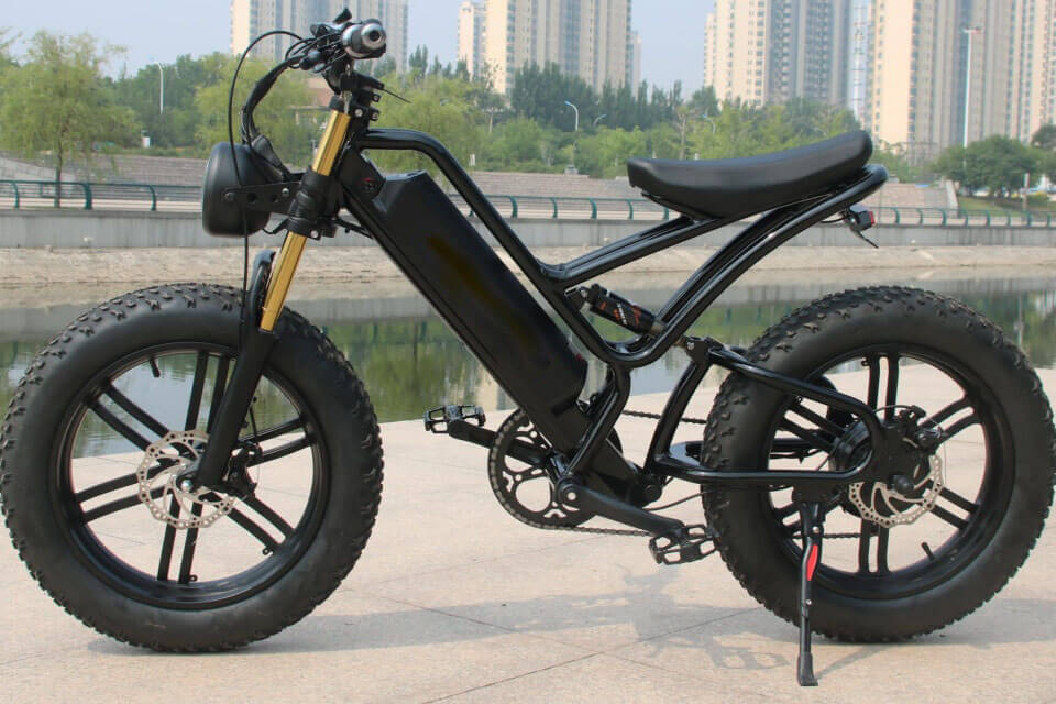 Electric Bike
