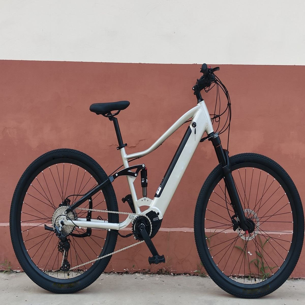 Electric Bike