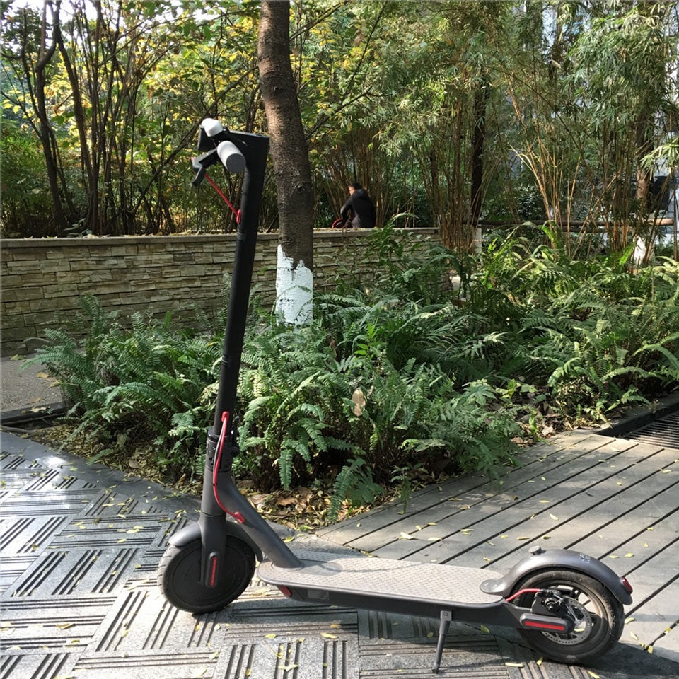 Electric Kick Scooter