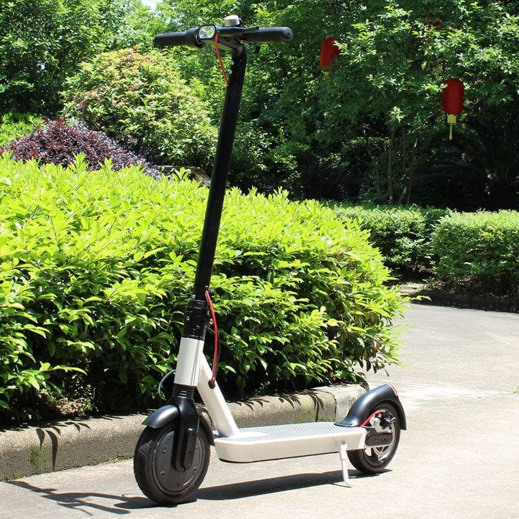 Electric Kick Scooter